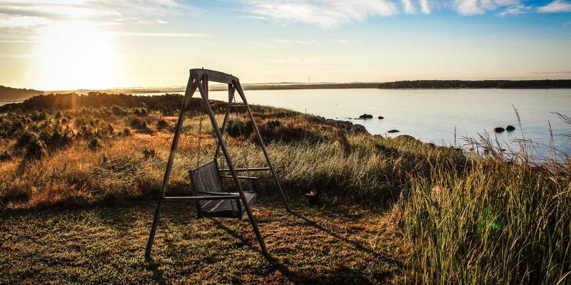 滨州中小企业创新创业生态调查：政策红利、平台赋能与本土成功案例解析