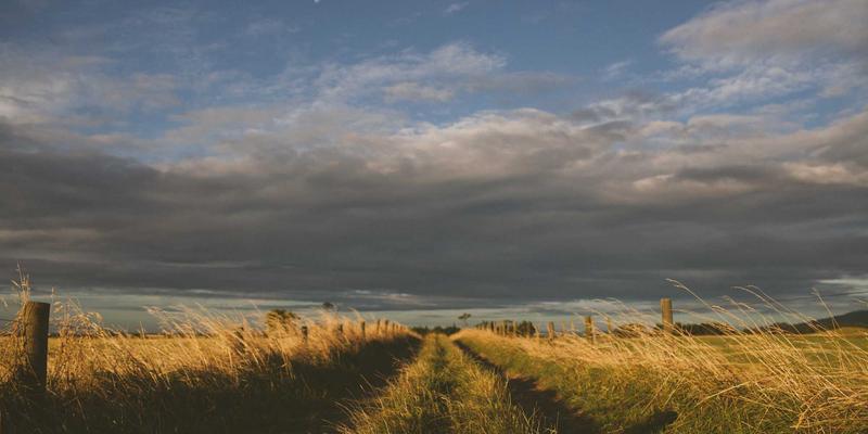 滨州城区商业格局演变：从传统商圈到新兴综合体，一文读懂本地消费地图