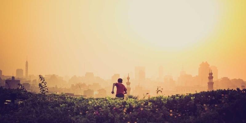 滨州惠民乡村旅游全攻略：探秘古村落、畅游生态园、乐享采摘季