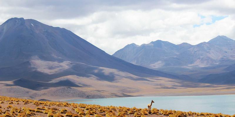 滨州惠民交通网络变迁史:从古驿道到高铁时代,交通如何重塑区域发展格局