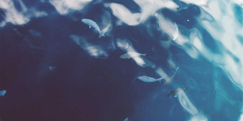 滨州惠民县乡土文学与地方志编纂：当代作家笔下的故乡记忆与文史挖掘