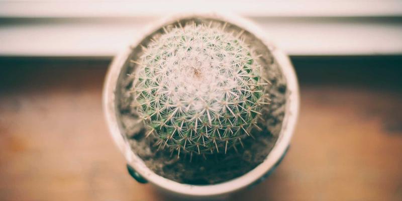 滨州惠民县人口结构与流动趋势深度解析：城镇化进程中的机遇与挑战