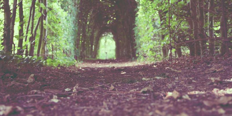 滨州惠民县公共文化服务全面升级：图书馆、文化馆与乡村文化大院效能提升观察