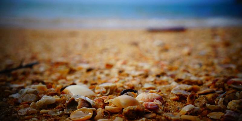 滨州惠民县非物质文化遗产全景图：探寻民间艺术瑰宝与传承人的坚守故事