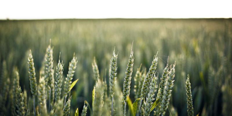 滨州惠民民间体育与全民健身：传统武术、广场舞与城乡体育设施全覆盖